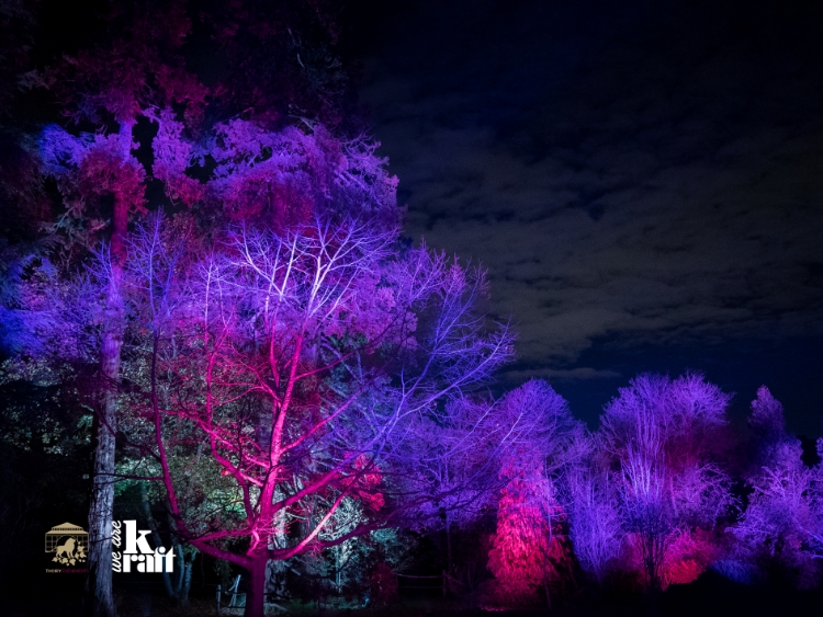 Mise en lumière du parc du chateau et du zoo de Thoiry par We Are Kraft