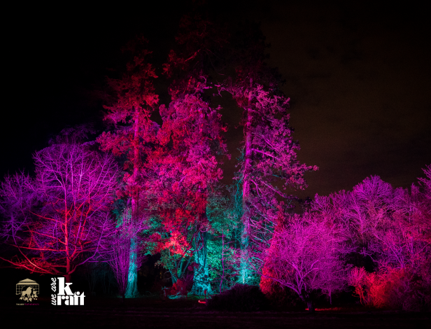 Mise en lumière Théâtre de la nature